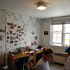 quad resident studying in sunlit room