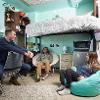 three Roskie residents sit in chairs socializing in front of a fully lofted bed in a Roskie double room 