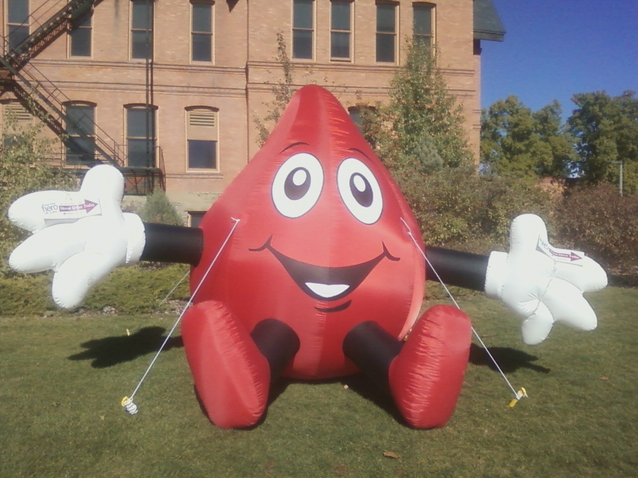 Inflated blood drop ballon