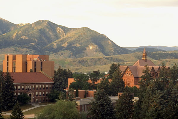 MT Hall and Bridger Mountains