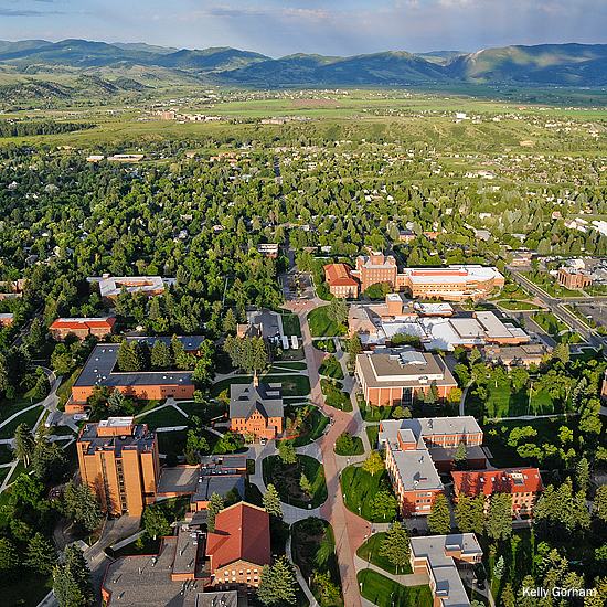 montana state university tour