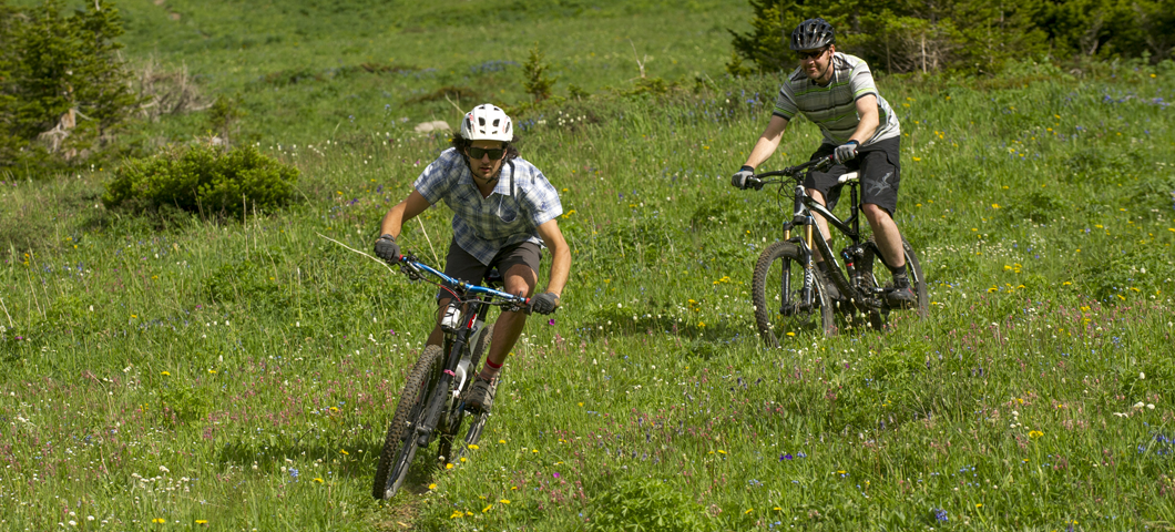 Two mountain bikers biking through a green field.