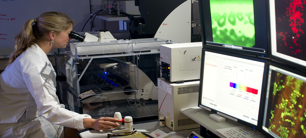 A researcher looking at a computer in the lab.