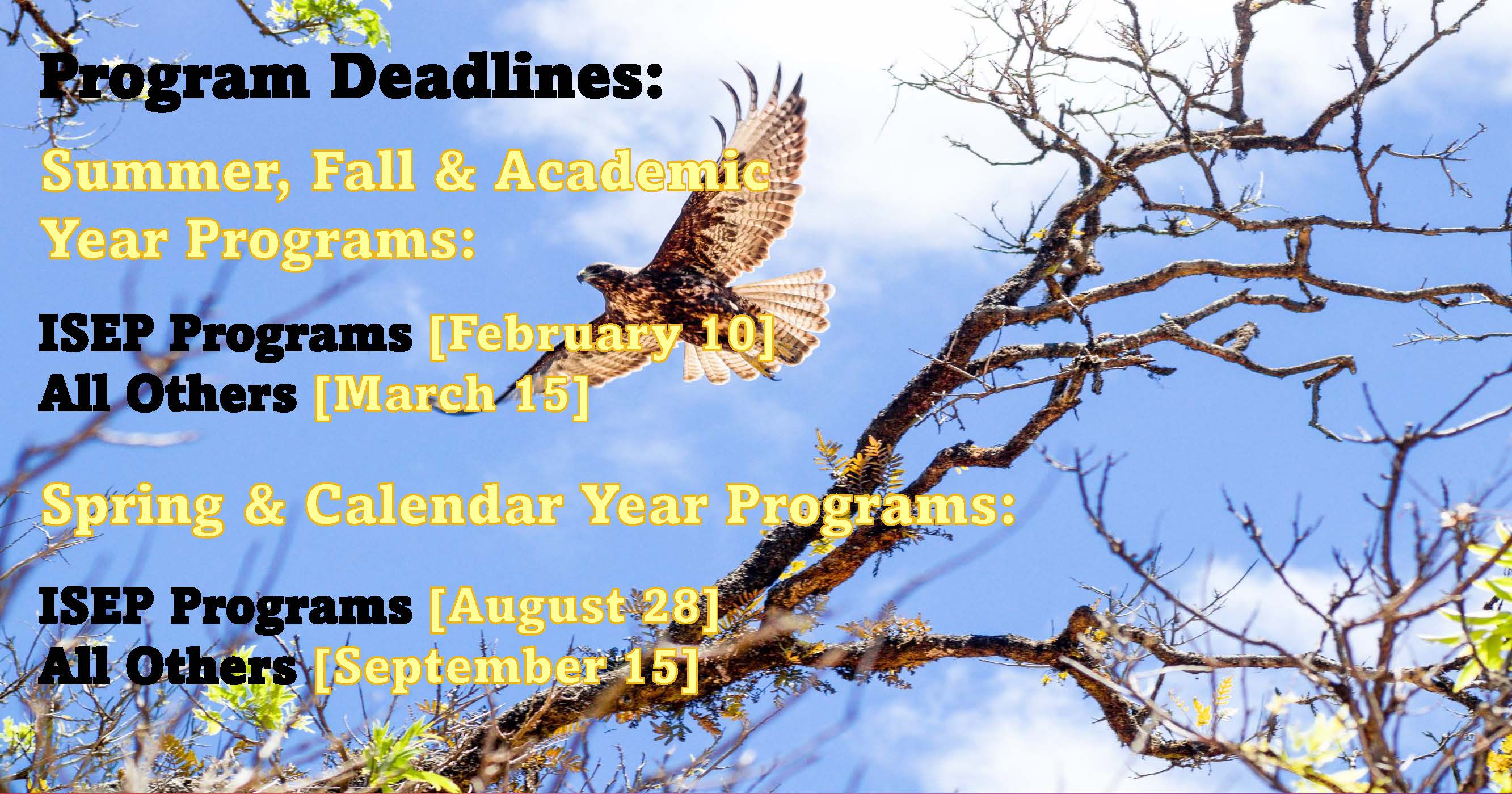Study Abroad Application Deadlines Update