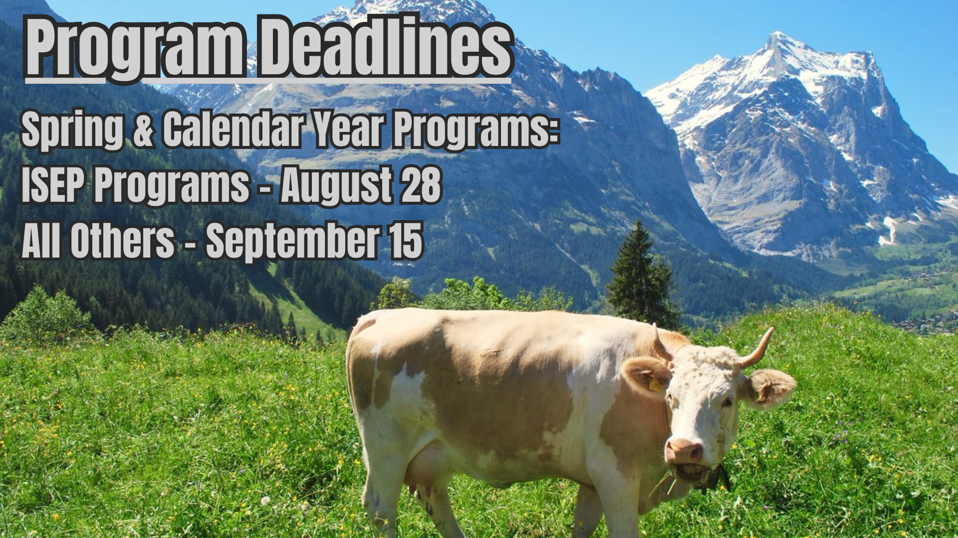 Spring/Calendar Year Deadlines Banner