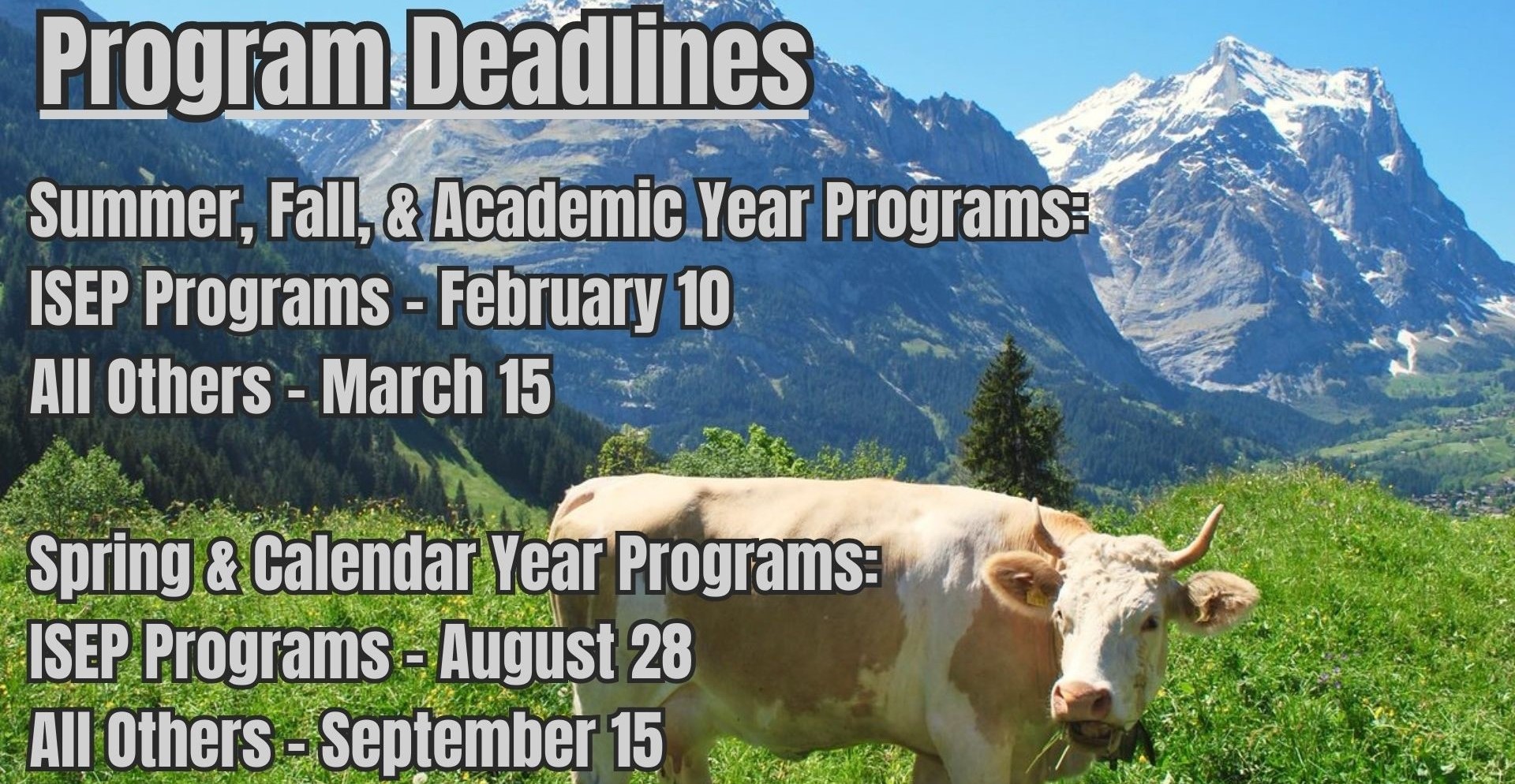 SA Program Deadline Banner