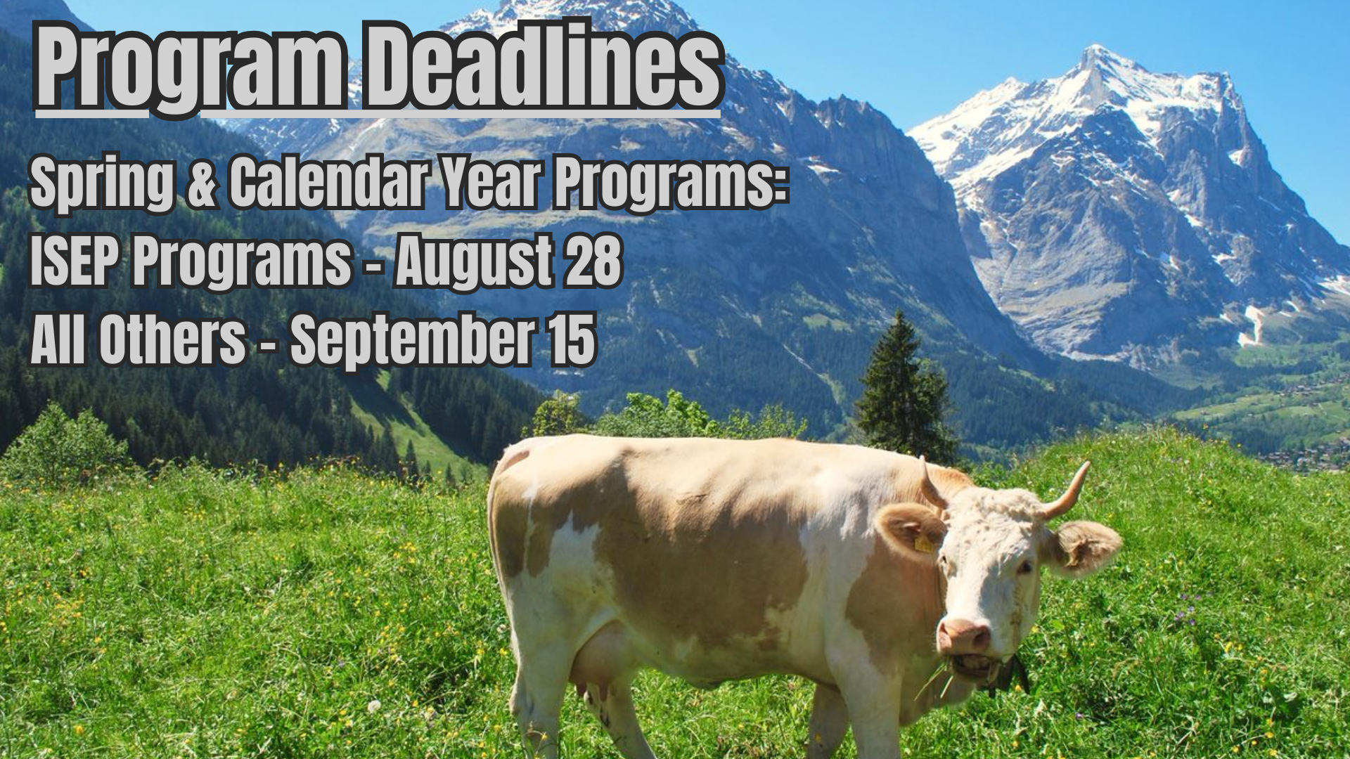 Spring and Calendar Year Deadlines