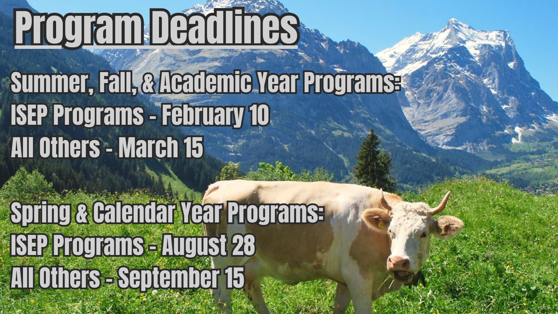 Program Deadline Banner on Advising Page