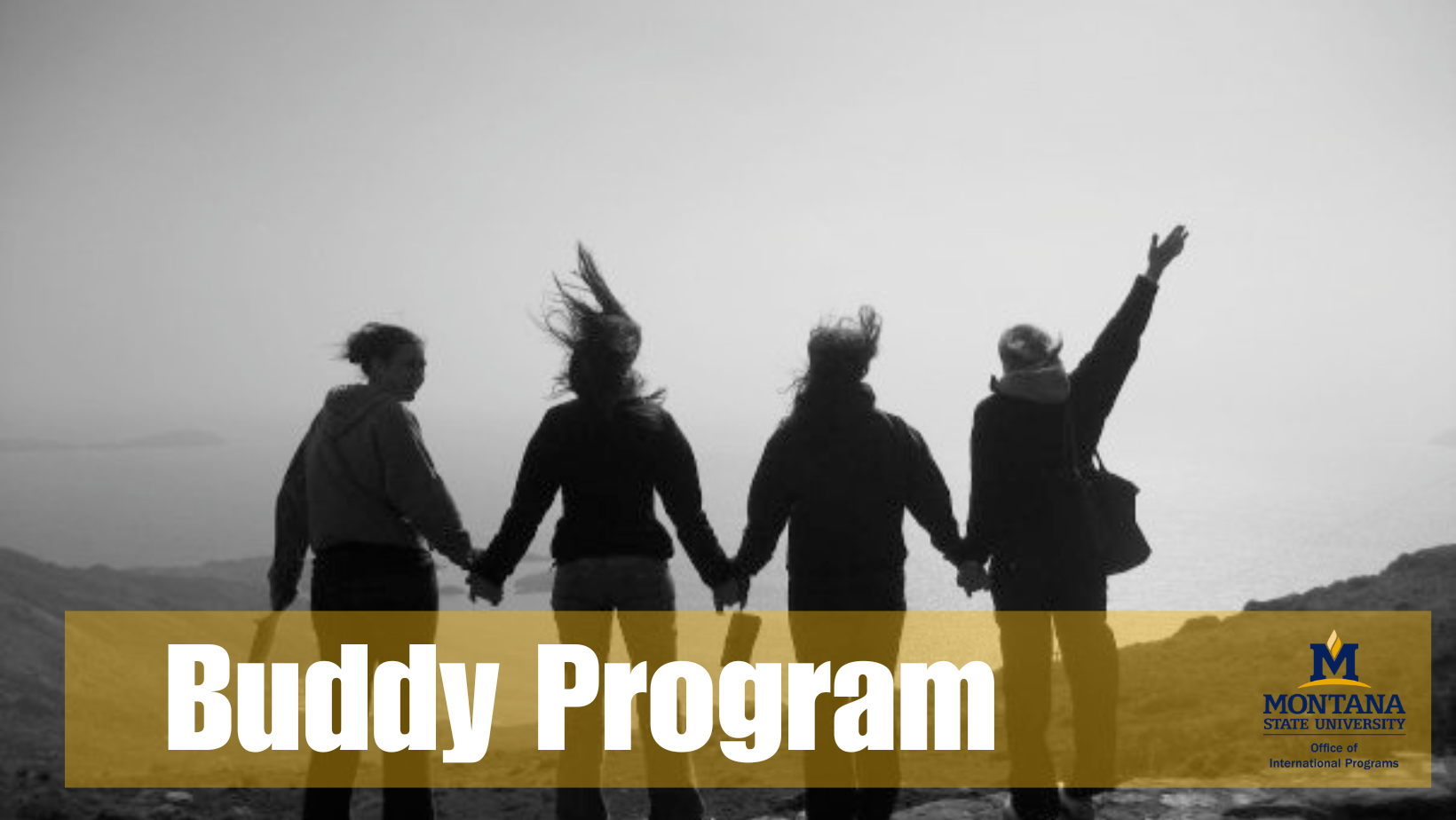 Buddy Program Banner 