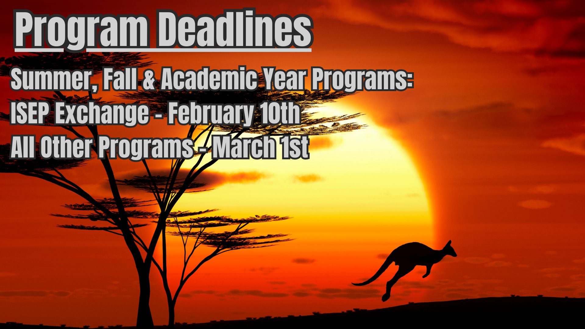 Summer/Fall/AY program deadlines