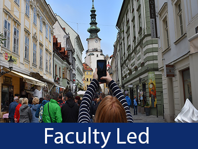 Faculty Led Info