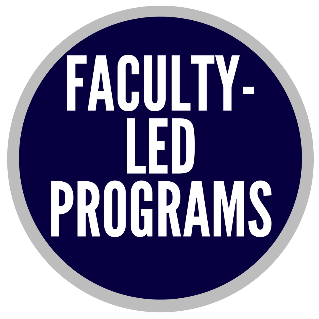 MSU FACULTY LED PROGRAMS