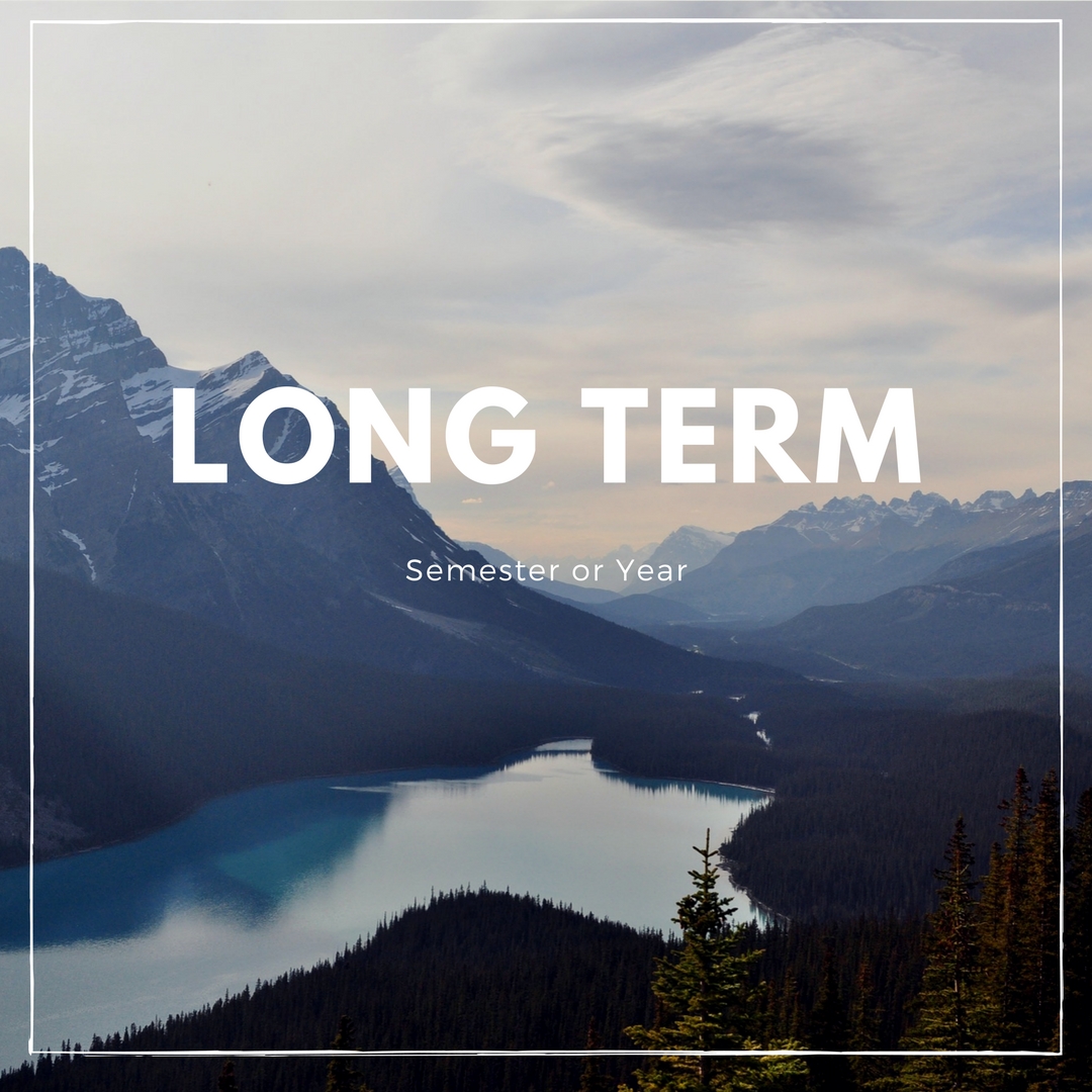 Long Term: A semester or a year