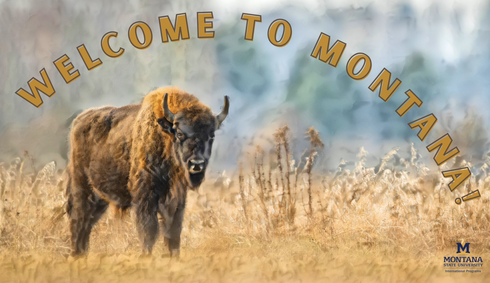 Welcome to Montana!