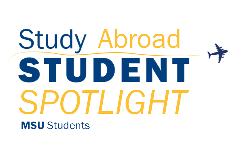 Student Profiles Logo