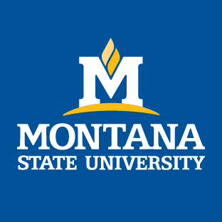 Montana State University blue and gold logo