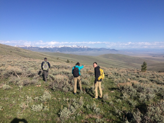 Students and advisors sample for pikas as part of the 2018 IoE Undergraduate Summer Research program