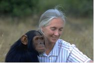 Dr. Jane Goodall