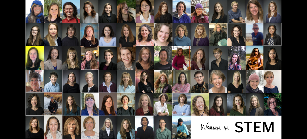 Pictures of the women that work in STEM in the College of Letters and Science