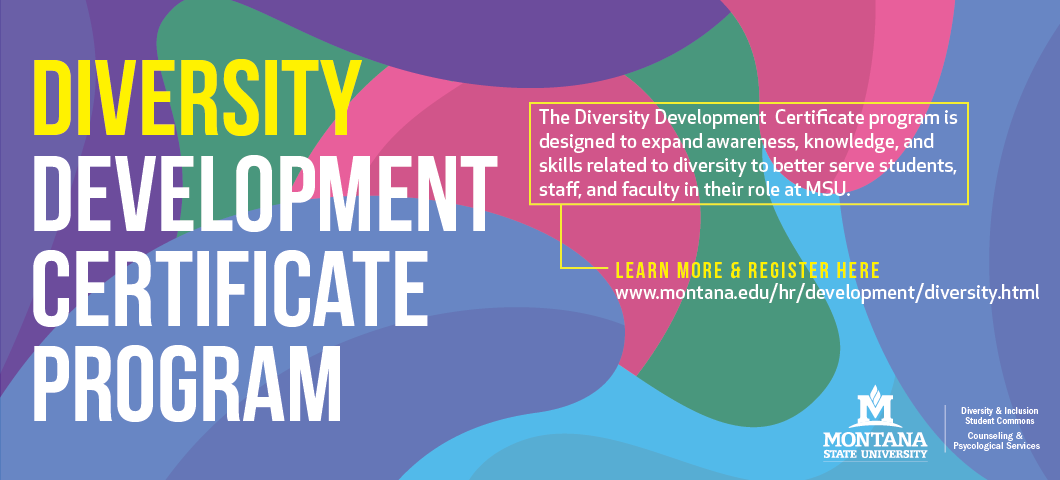 Diversity Development Certificate Program