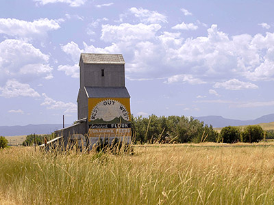 Grain elevator