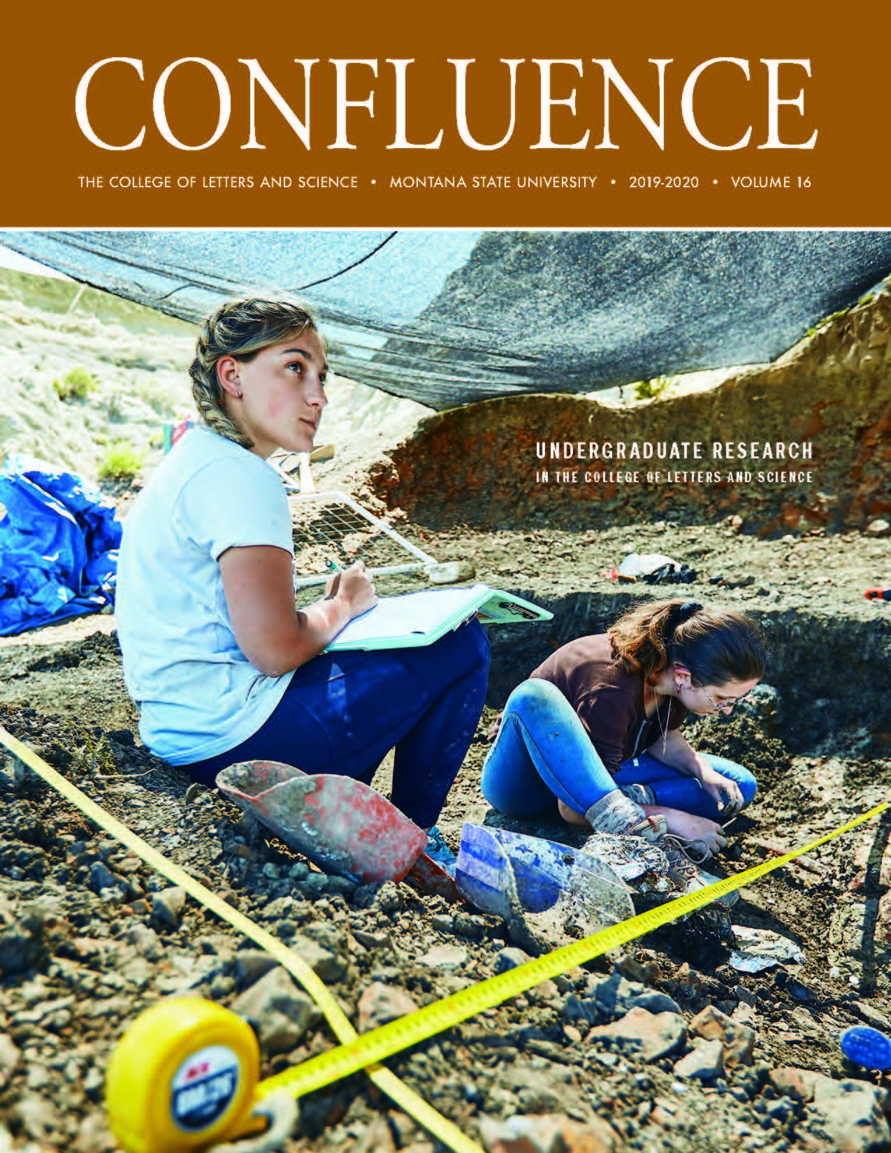 Confluence cover 2019