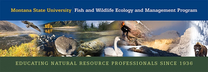 montana state university fish and wildlife ecology and management program. Educating natural resource professionals since 1936