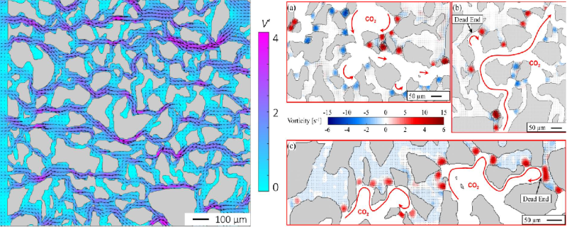 Velocity [left] and vorticity [right] fields during drainage of water by ScCO2. 