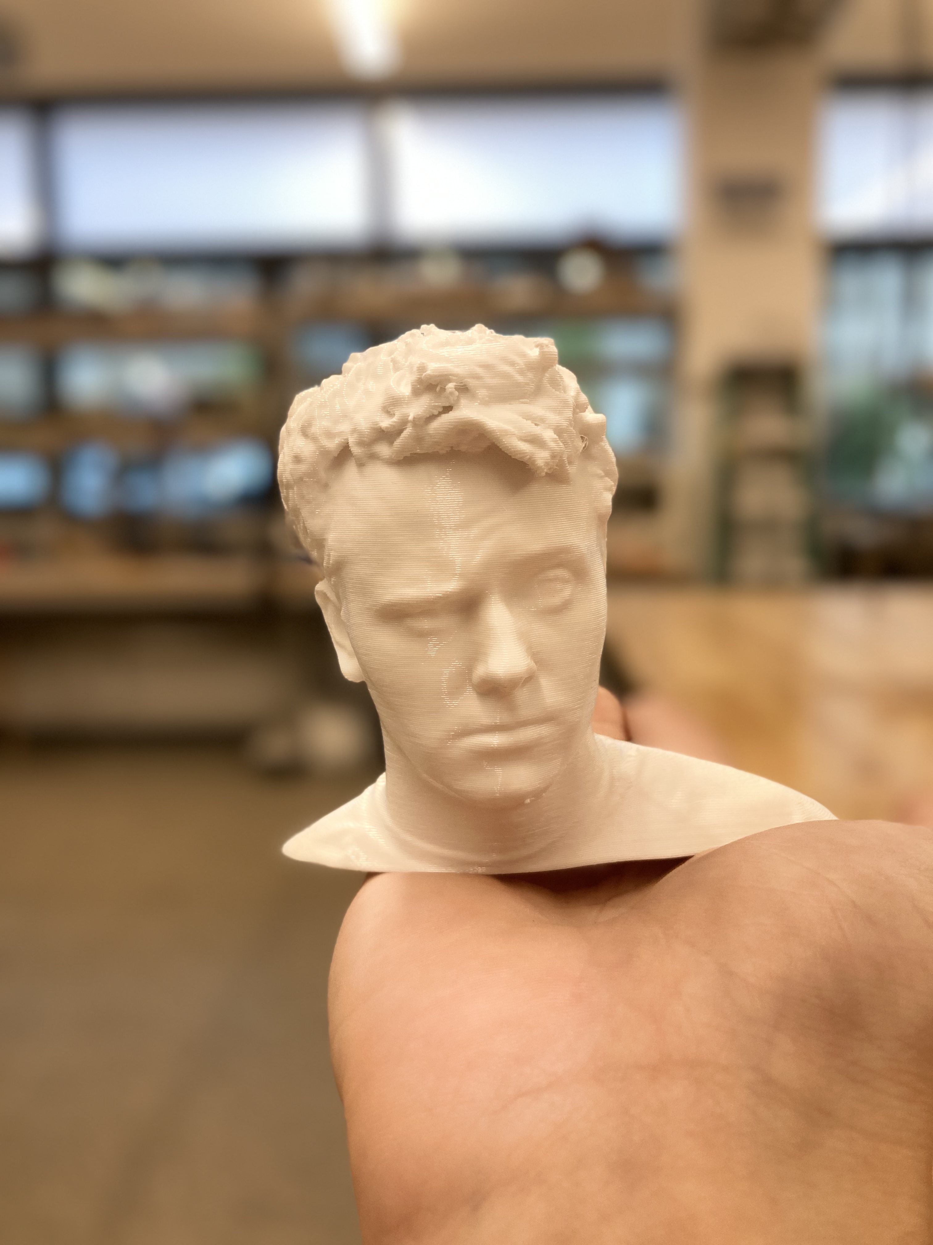 3D Print of a Scanned Human