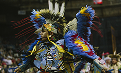Powwow dancer in traditional regalia