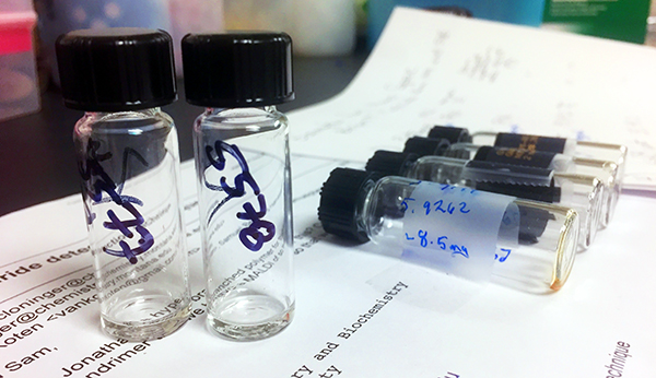 Samples