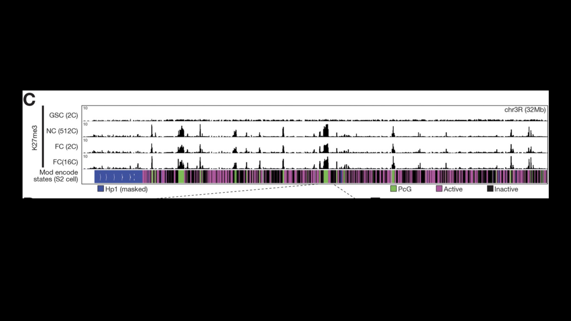 H3K27me3 in the fly genome browser