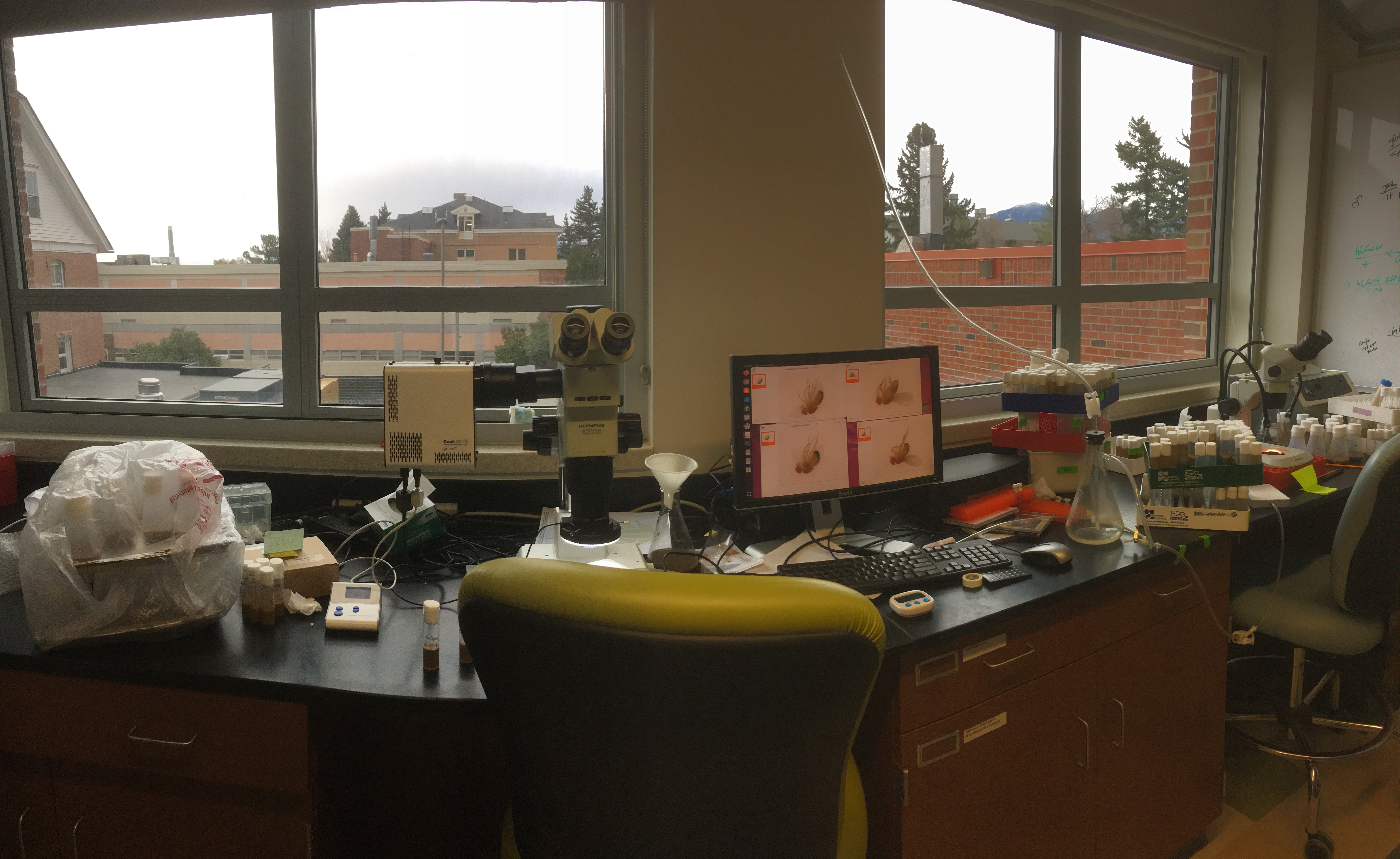 a photo of the Deluca lab fly room 