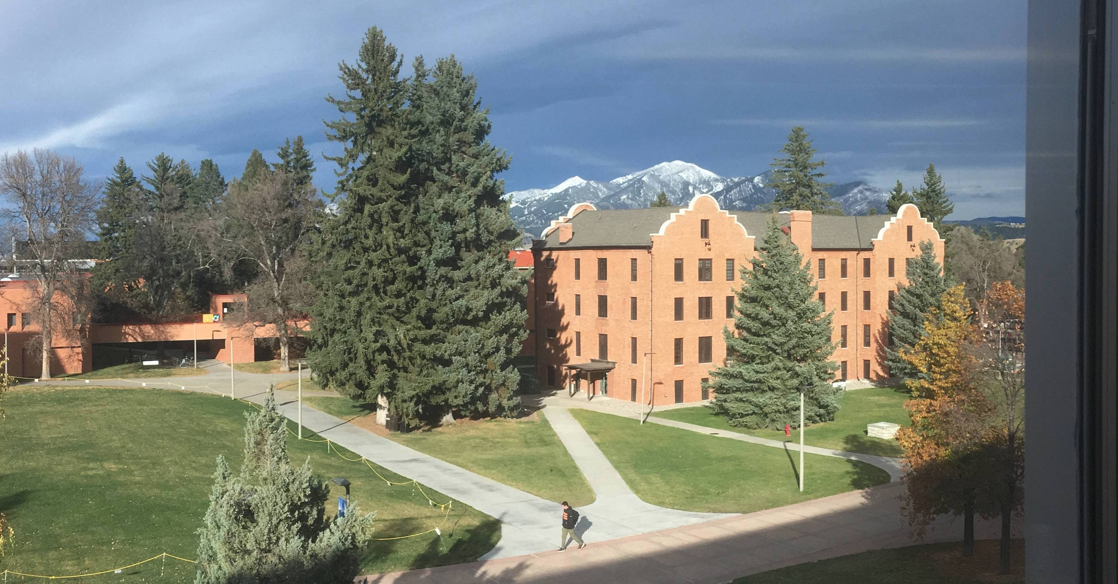 looking north from Renne Library