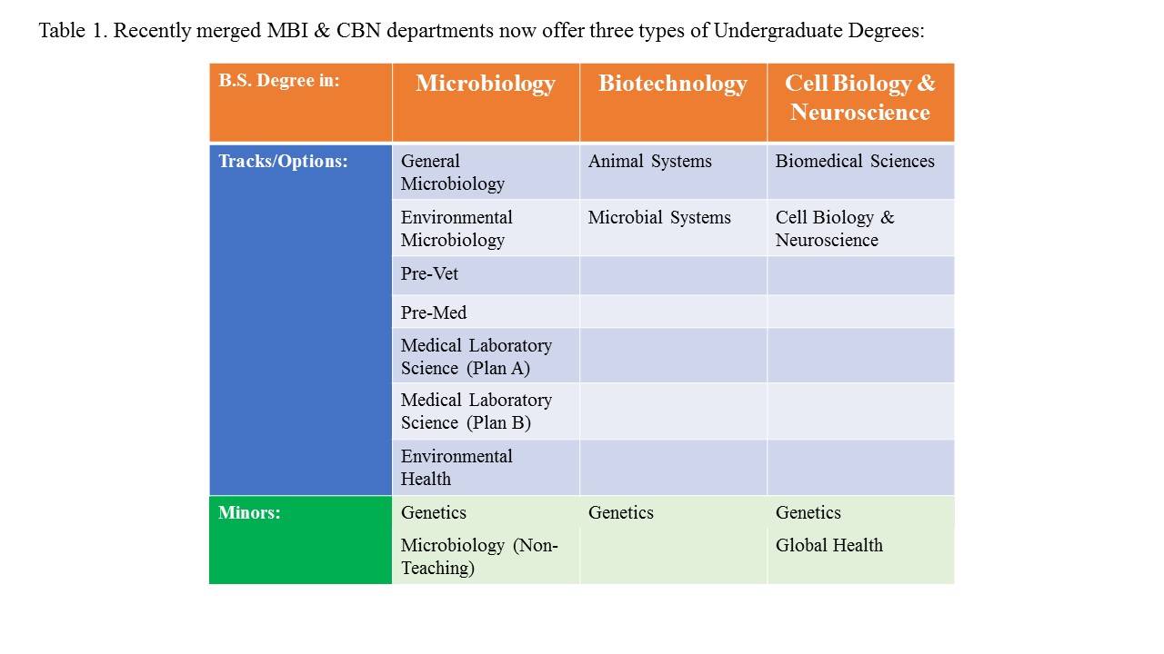 Table depicting the three undergraduate degree programs including major and minor options.