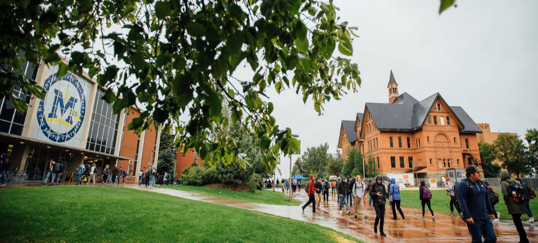 MSU Campus in Bozeman, MT