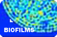 Biofilms