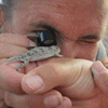 Dinosaur Paleontology Field Course