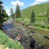 Ecology of Trout Streams