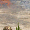 Thermal Biology Field Course