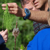 Animal Biodiversity Field Course