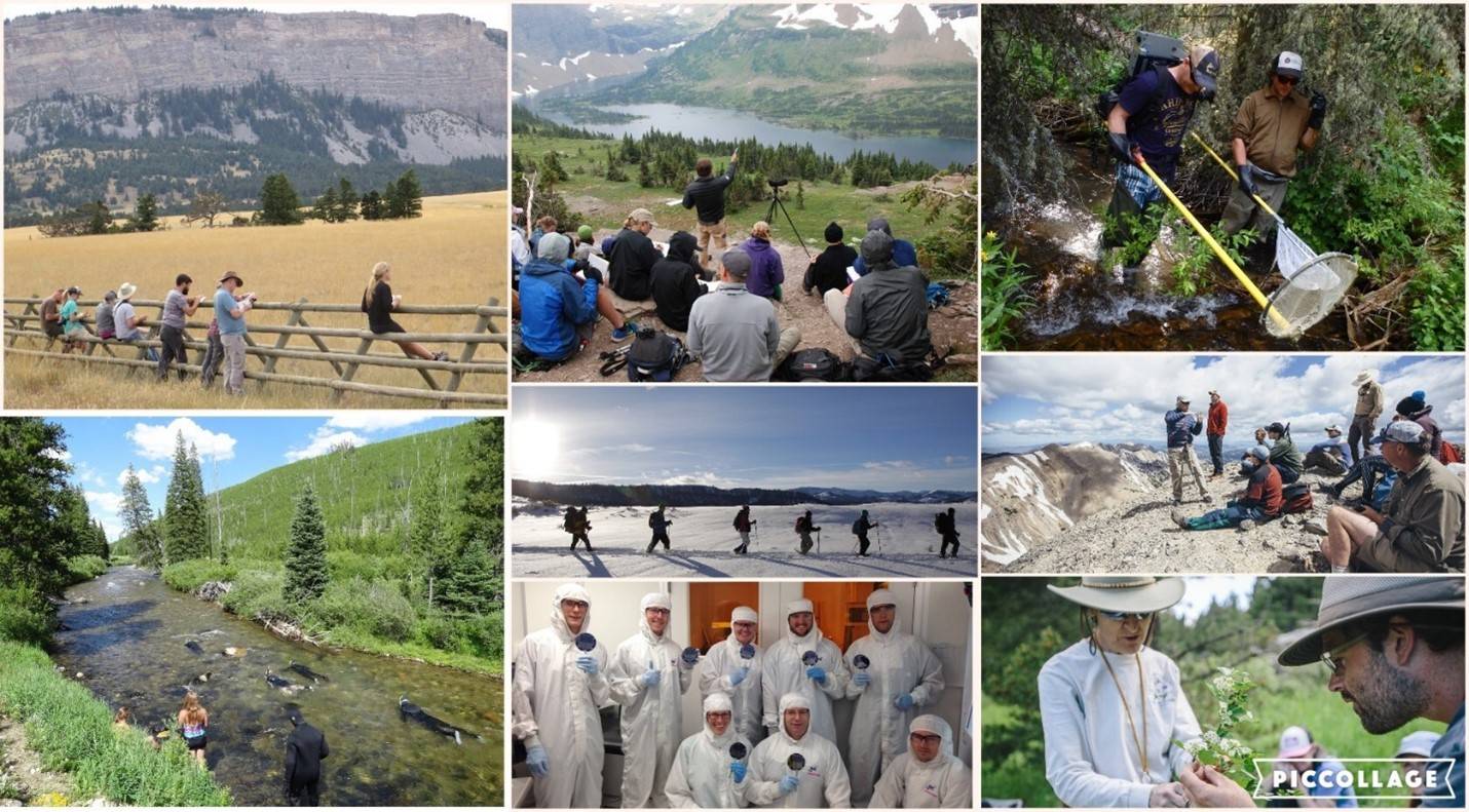 Field course collage