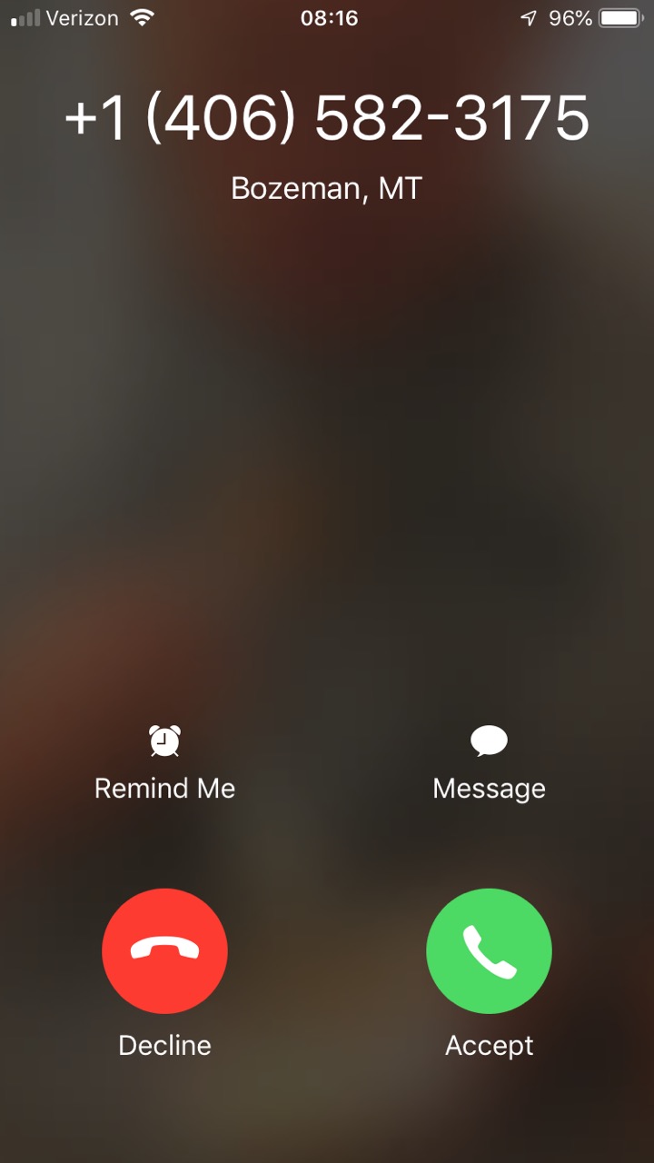 Screenshot of MSU Alert Phone Number calling