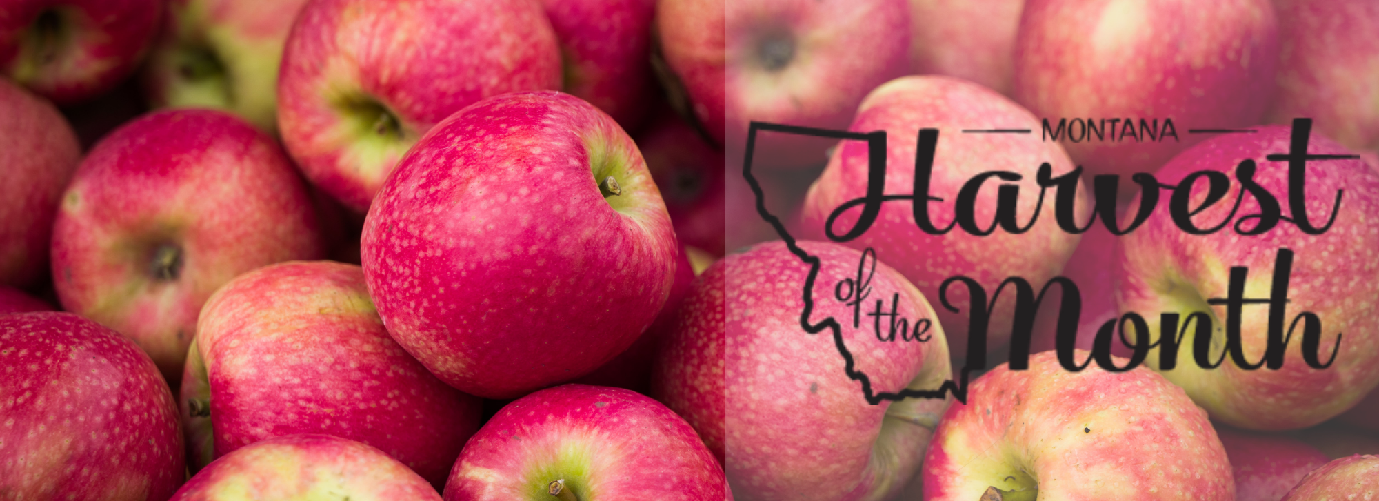 Photo of apples with the Harvest of the Month logo. 