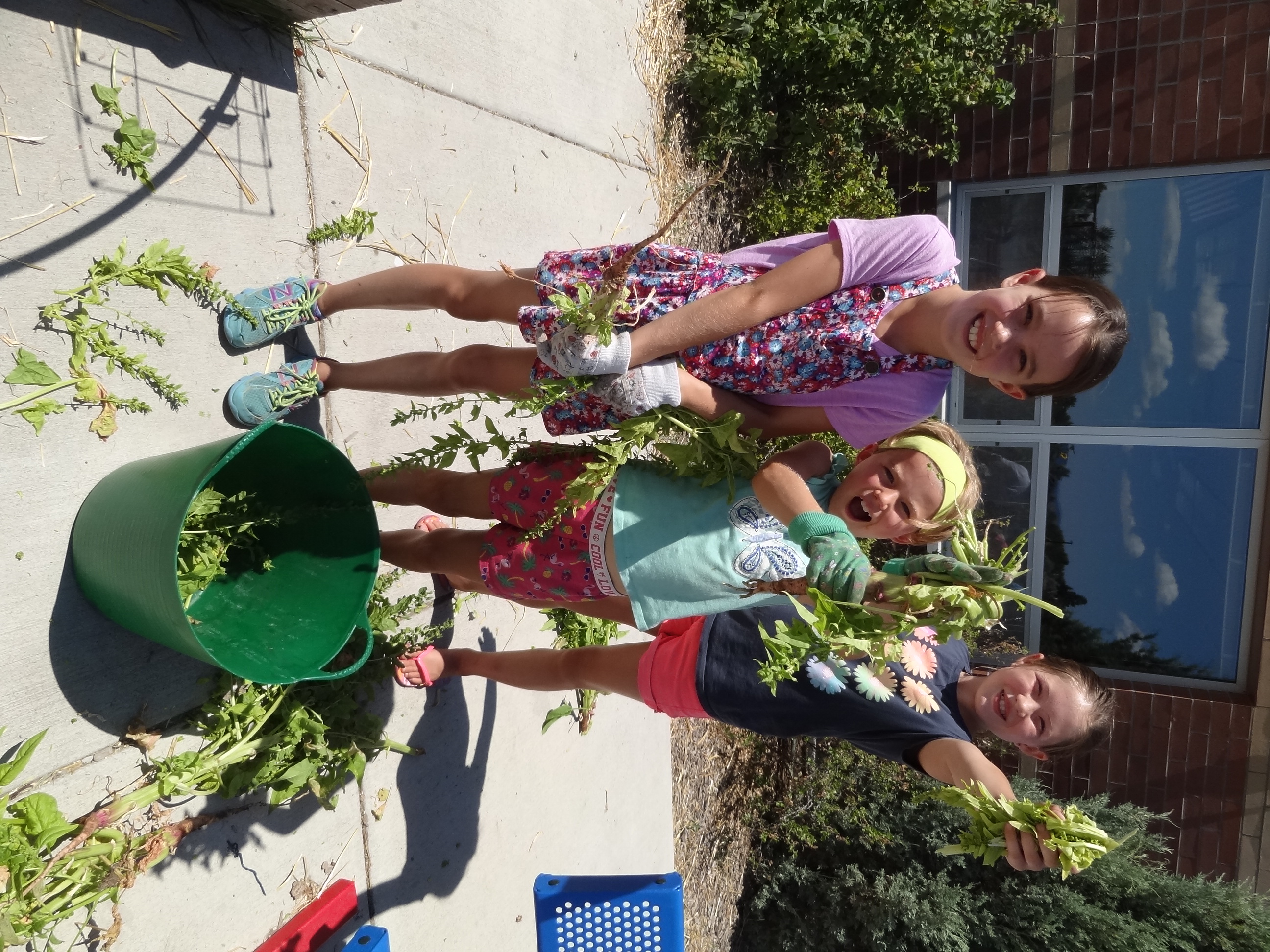 Children holding greens