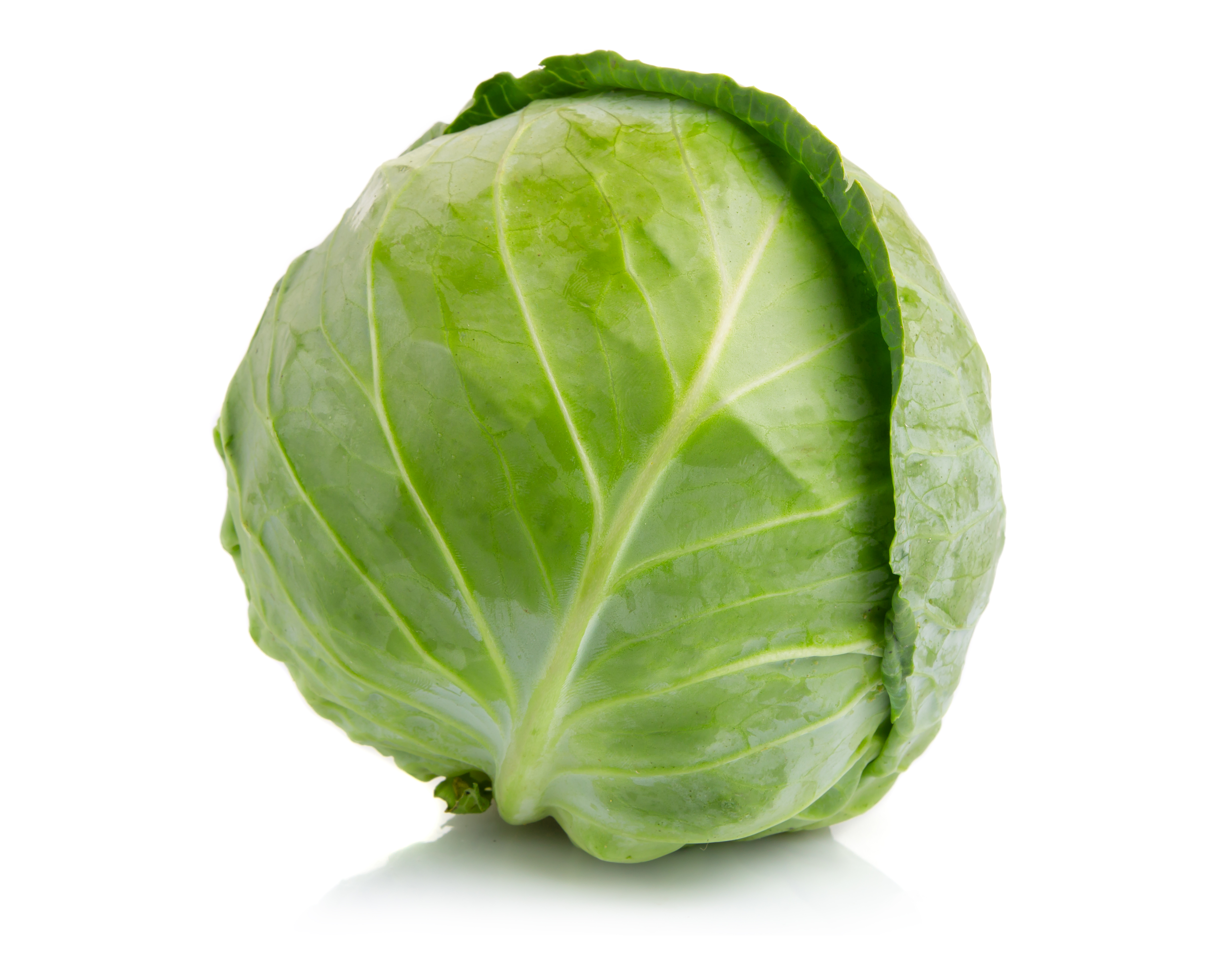 image of a cabbage
