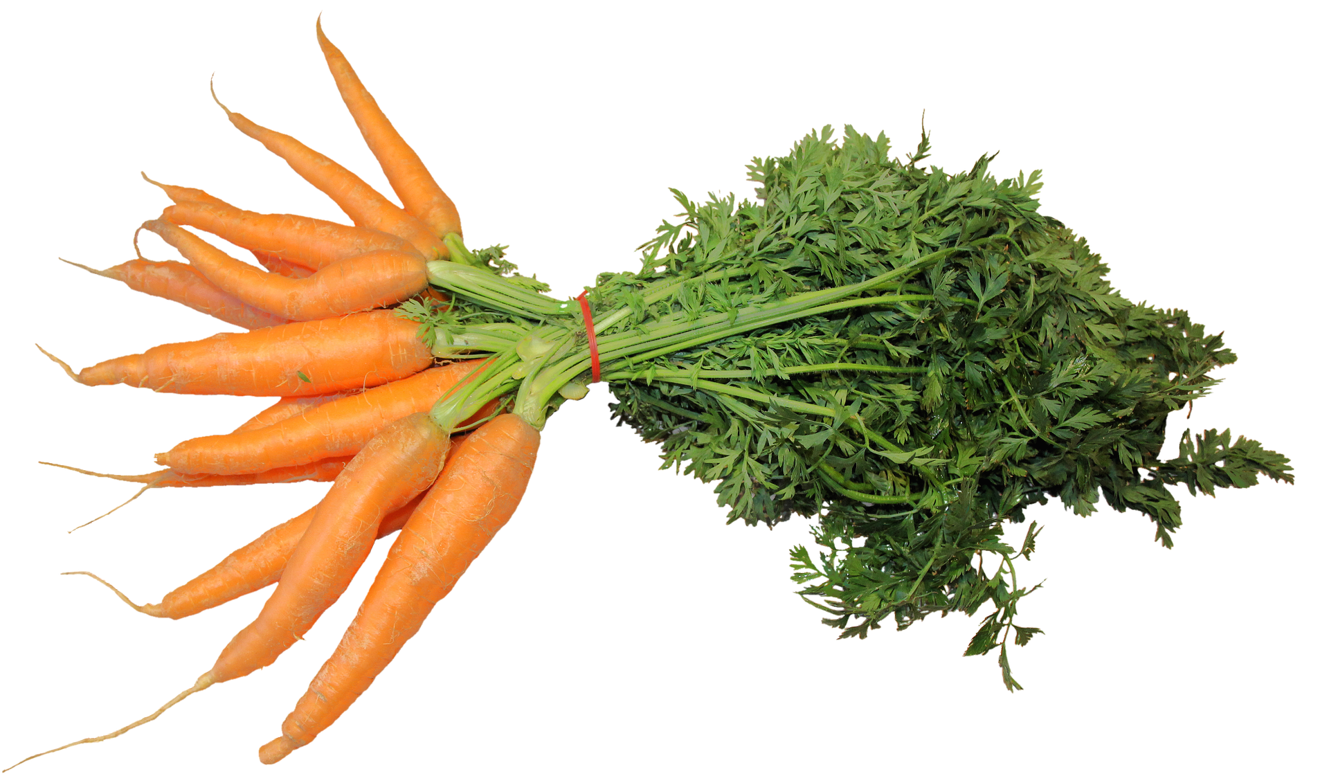 image of carrots