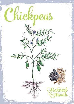 HOM Chickpeas Poster