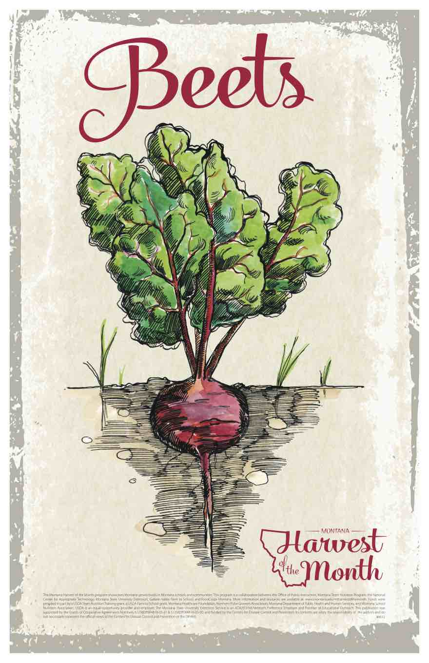 beet poster beet poster