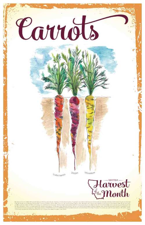 carrot poster carrot poster